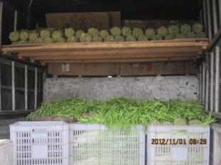 四川中江縣優(yōu)質(zhì)新鮮韭黃批量供應(yīng)，誠(chéng)邀批發(fā)商合作