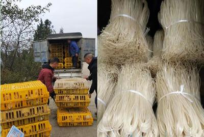 重慶中煙涪陵卷煙廠助銷蒲板村農(nóng)副產(chǎn)品，點(diǎn)亮鄉(xiāng)村振興之路