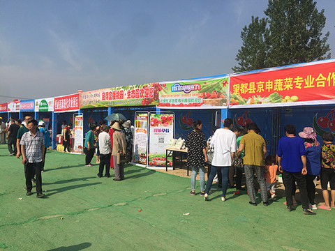 望都2017櫻桃文化旅游節(jié)暨農(nóng)副產(chǎn)品展銷(xiāo)會(huì)拉開(kāi)帷幕，助力地方特色食品銷(xiāo)售