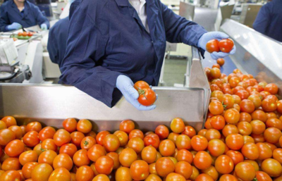 從田間到餐桌 農(nóng)副食品加工業(yè)的內(nèi)涵、現(xiàn)狀與未來(lái)展望